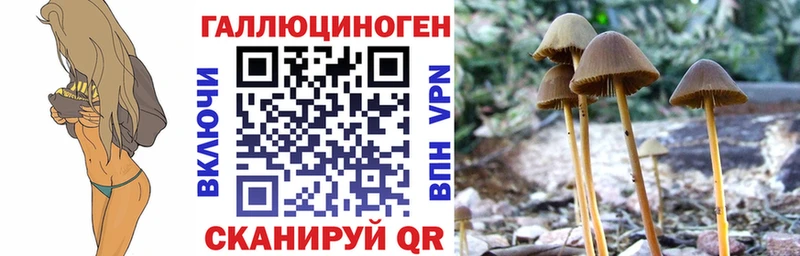 Псилоцибиновые грибы Magic Shrooms  Ядрин 